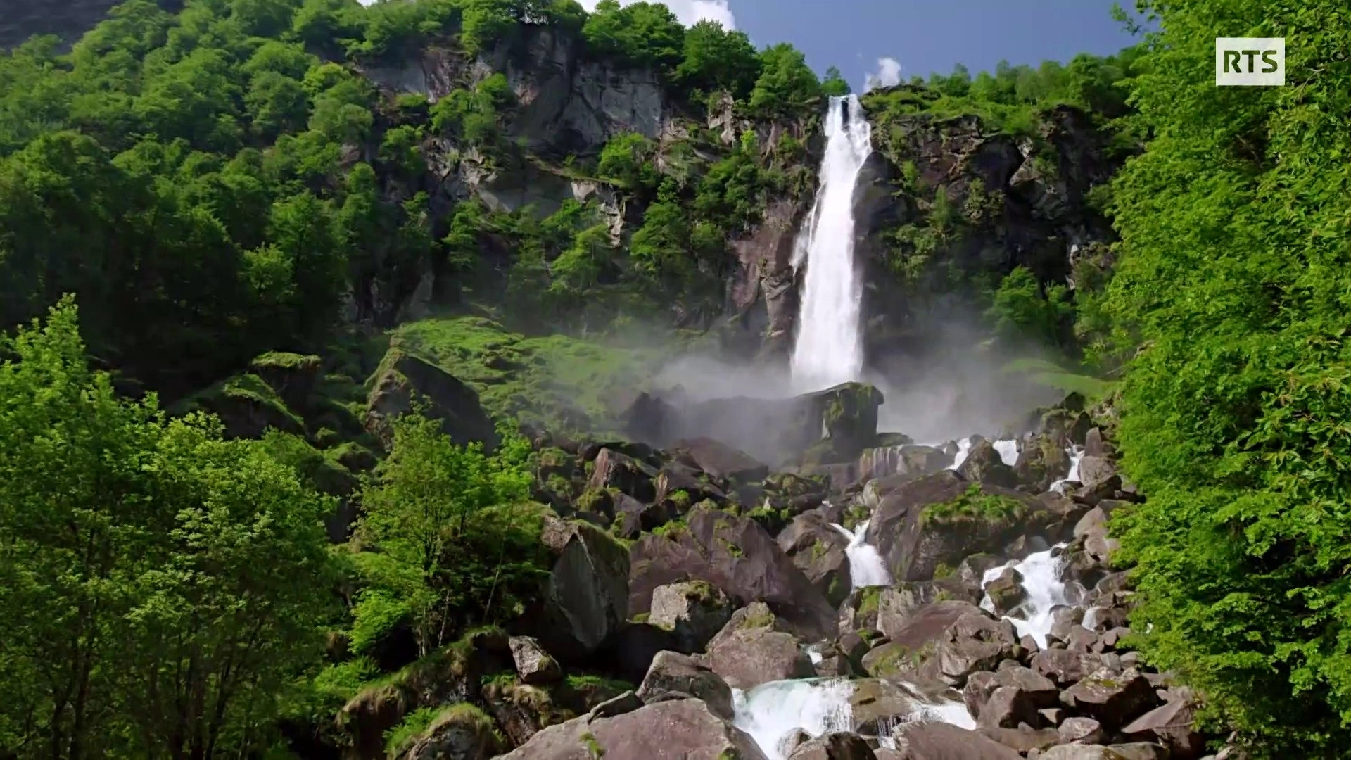 Wild Faces of Switzerland