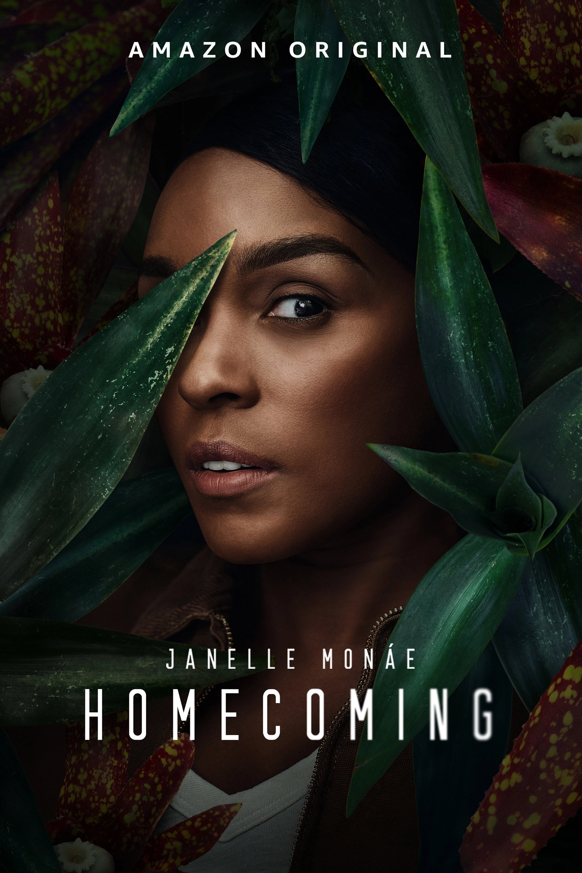 Homecoming