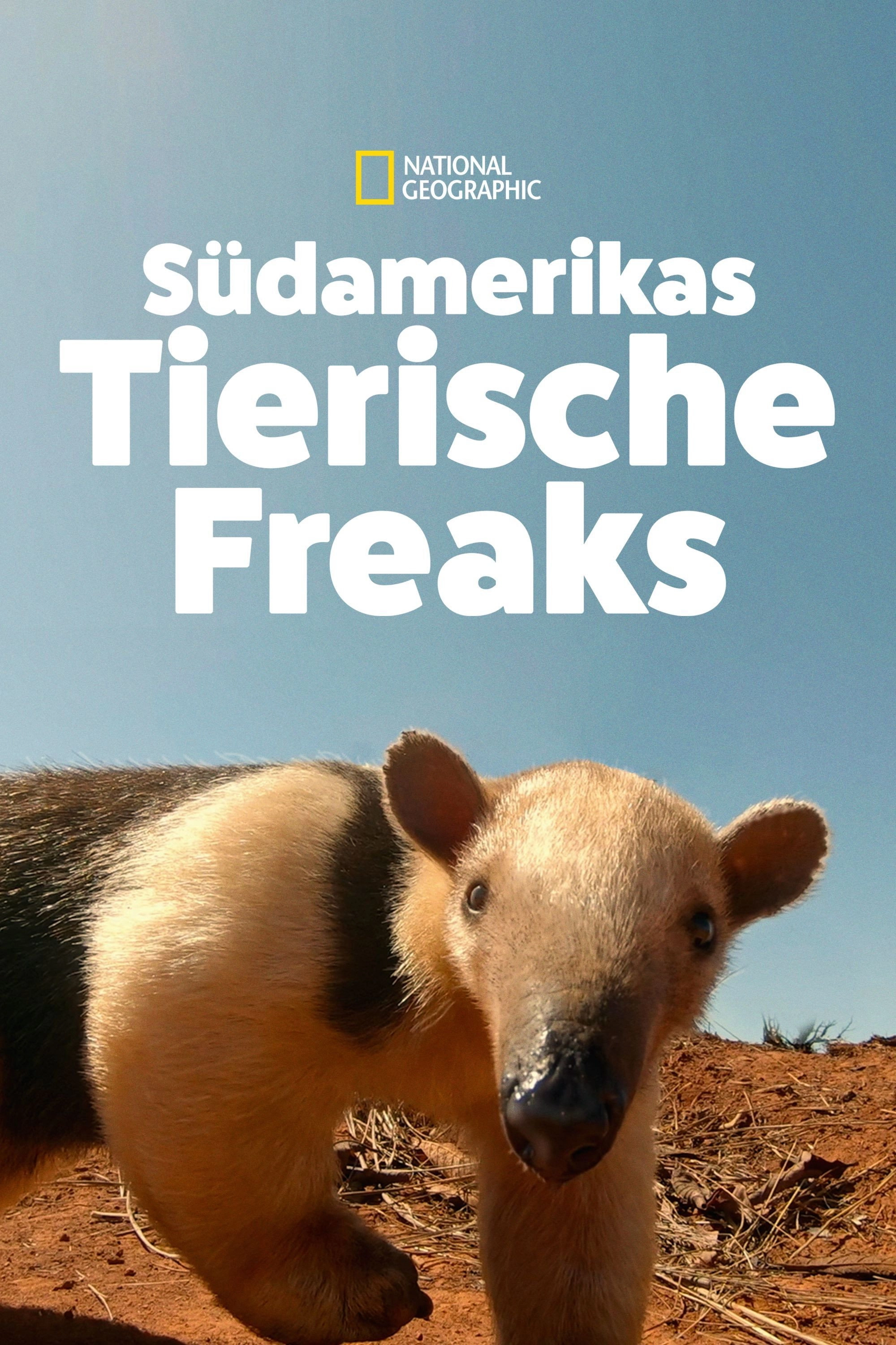 South America's Weirdest Animals