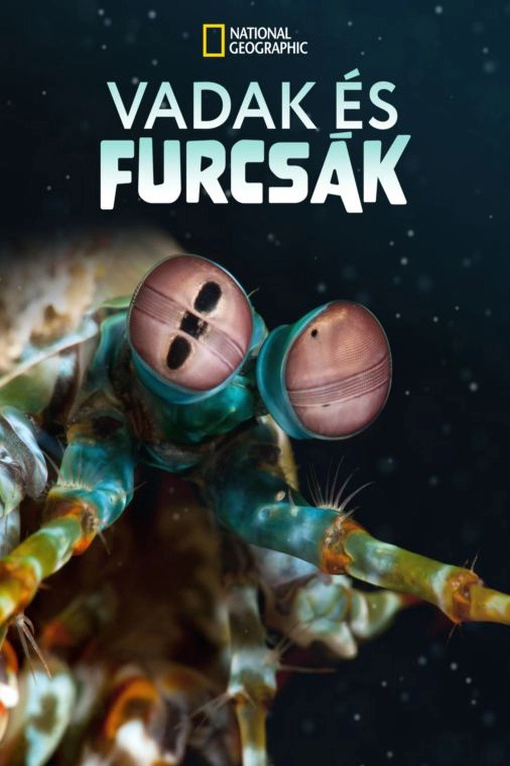 Ocean's Weirdest