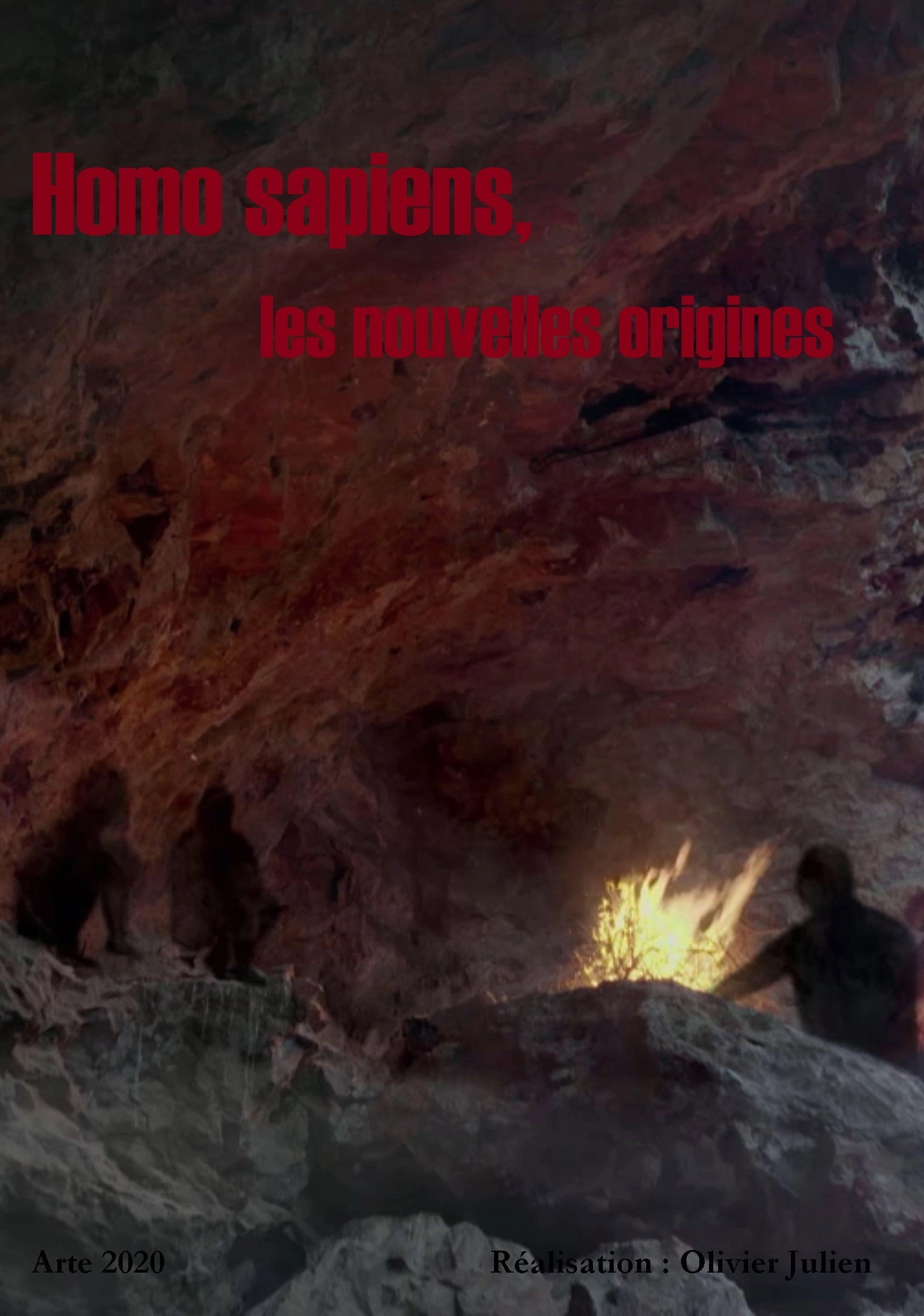 Homo sapiens, the New Origins