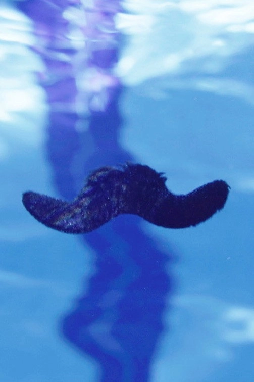 A Hair's Breadth