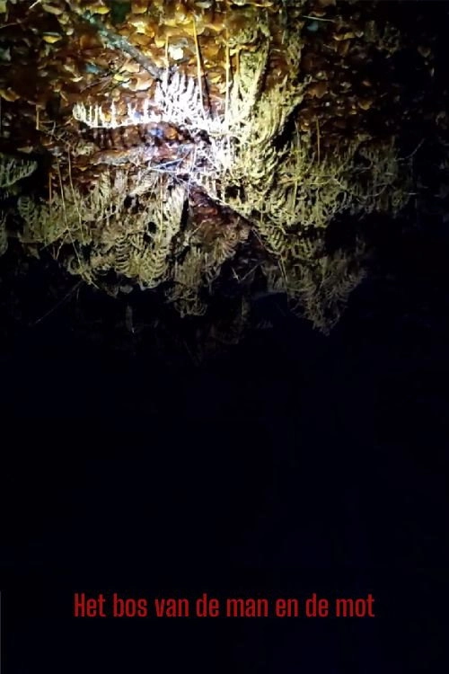 The Forest of the Man and the Moth