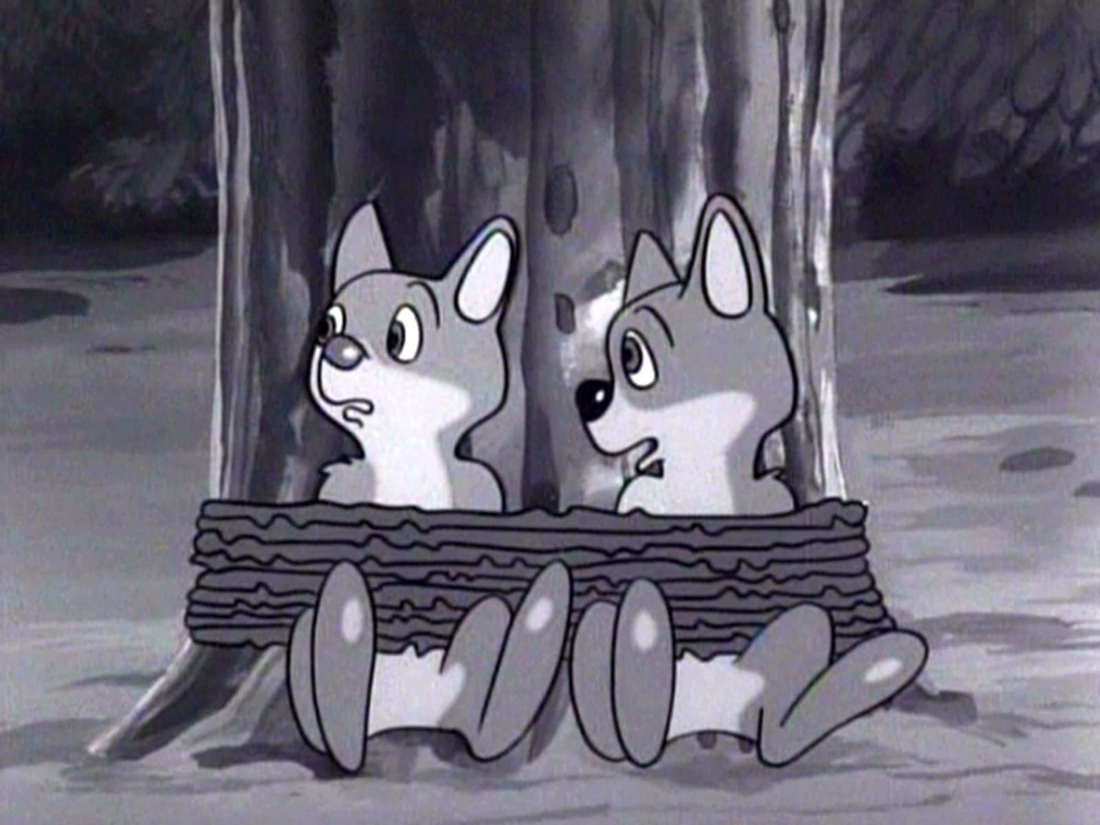 Wolf Boy Ken