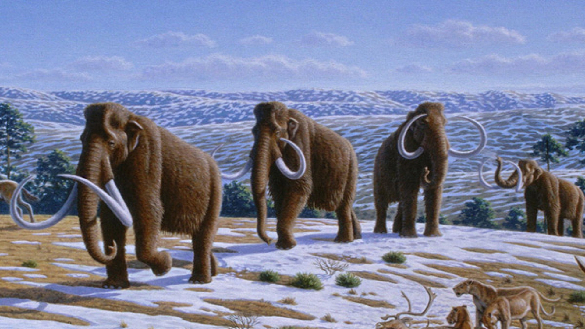 How Climate Made History