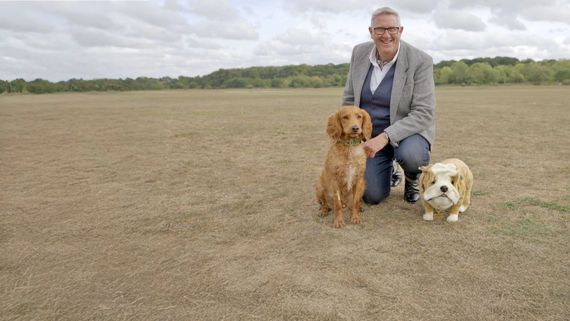Dogs Behaving (Very) Badly