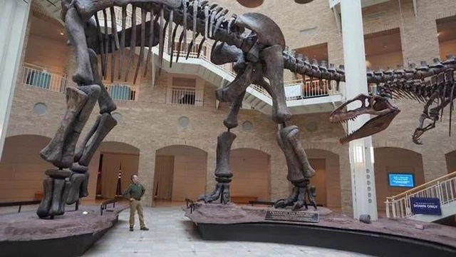 Ancient Earth: Dinosaurs of the Frozen Continent