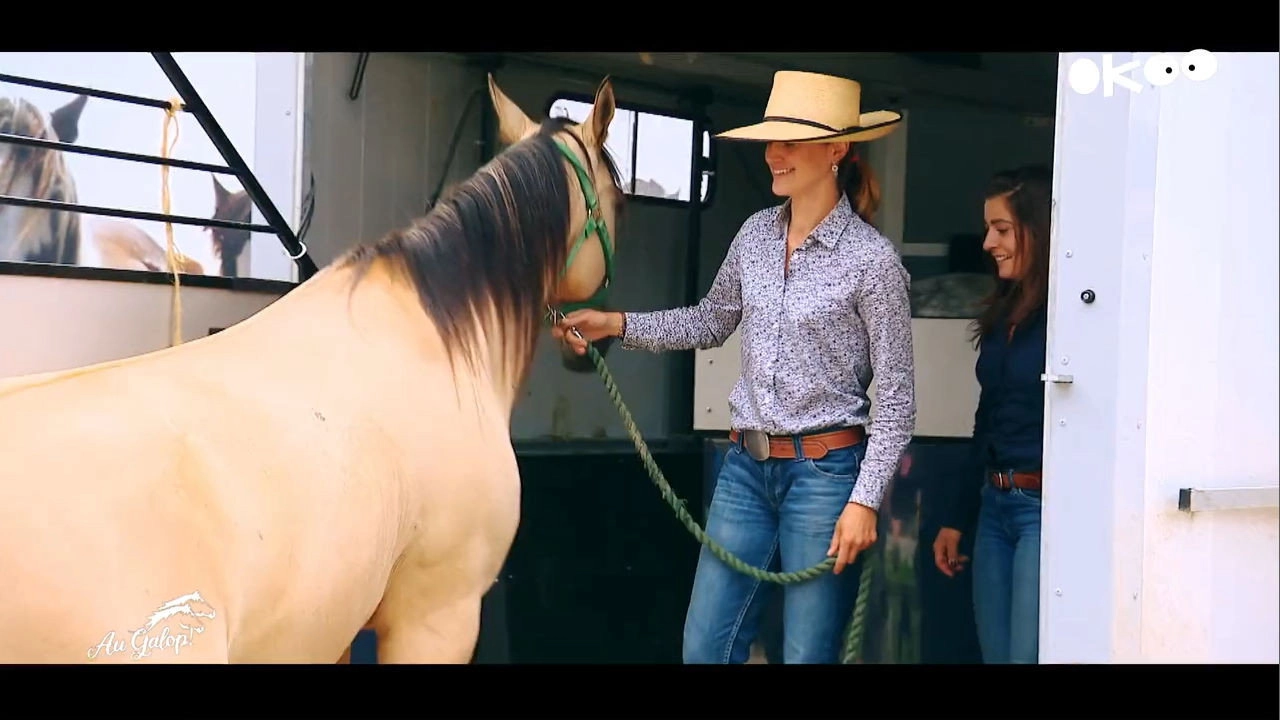 Au galop ! une saison à cheval