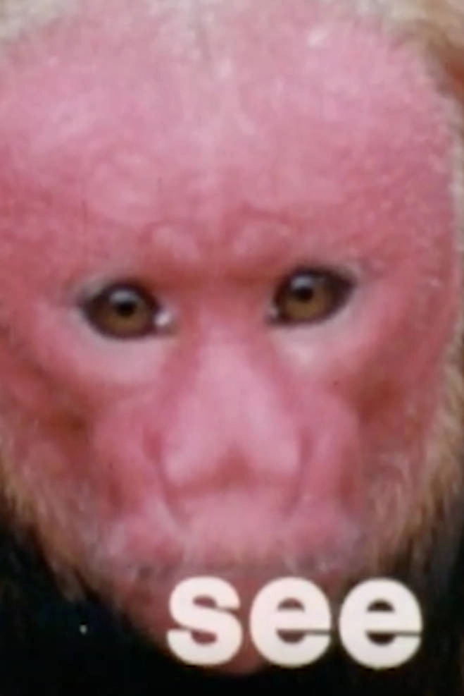 Žiarlivé ženy
