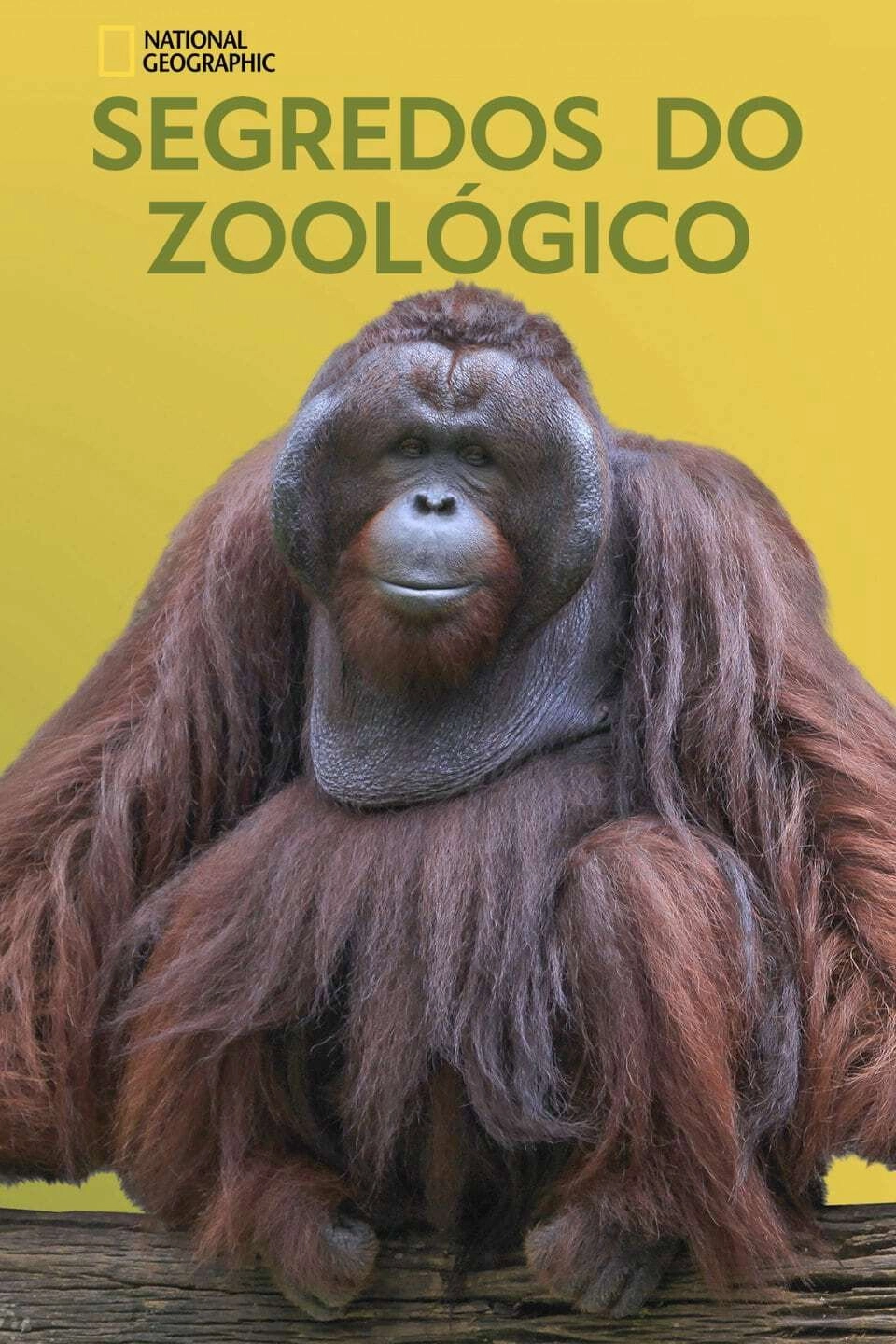 Secrets of the Zoo