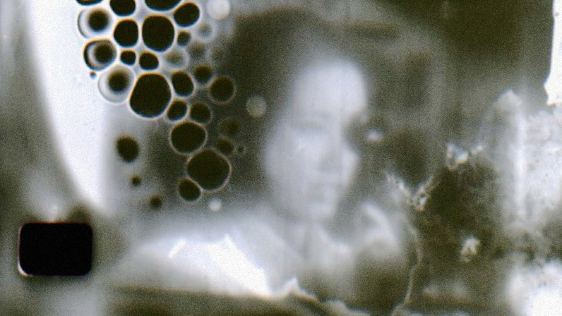 Side-Lights of the Sawdust Ring