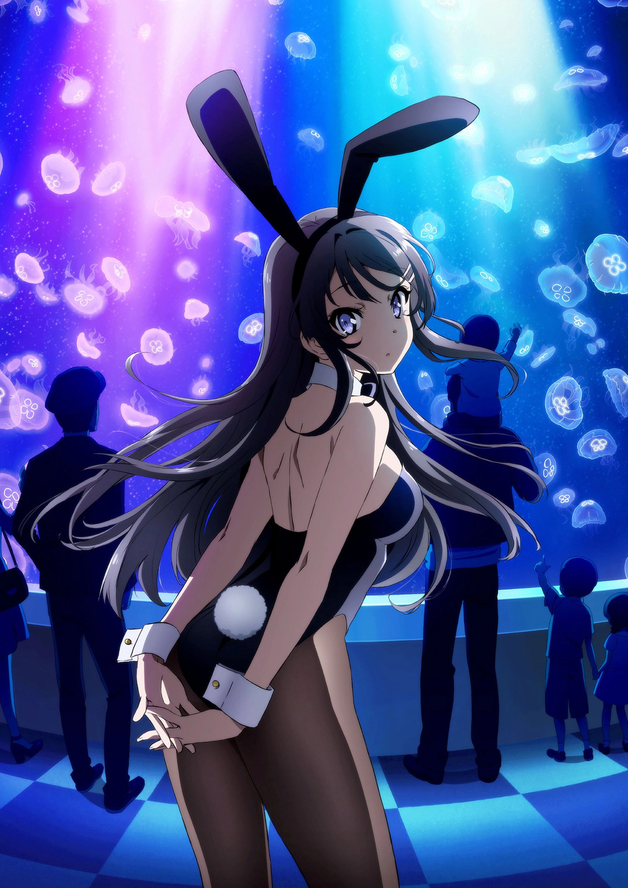 Rascal Does Not Dream of Bunny Girl Senpai