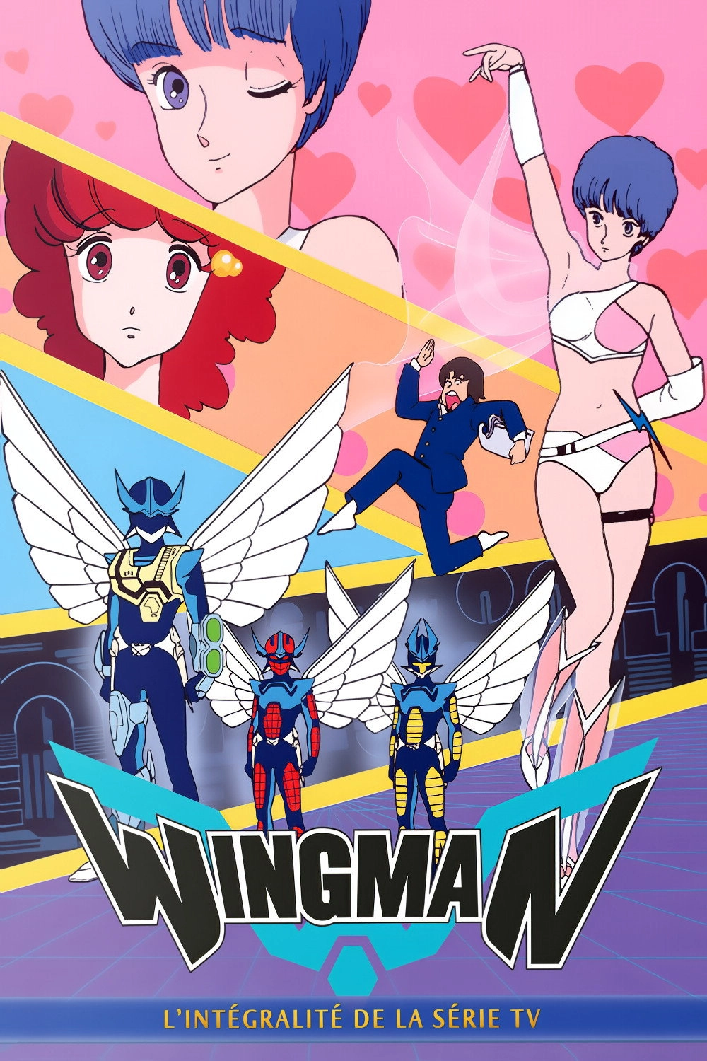 Dream Fighter Wingman
