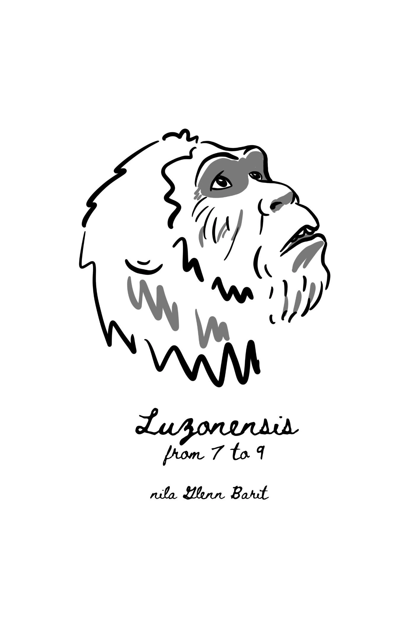 Luzonensis Osteoporosis