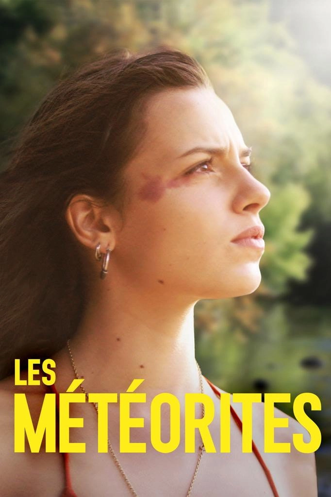 Meteorites