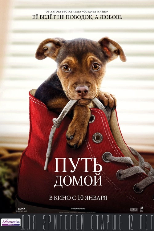A Dog's Way Home