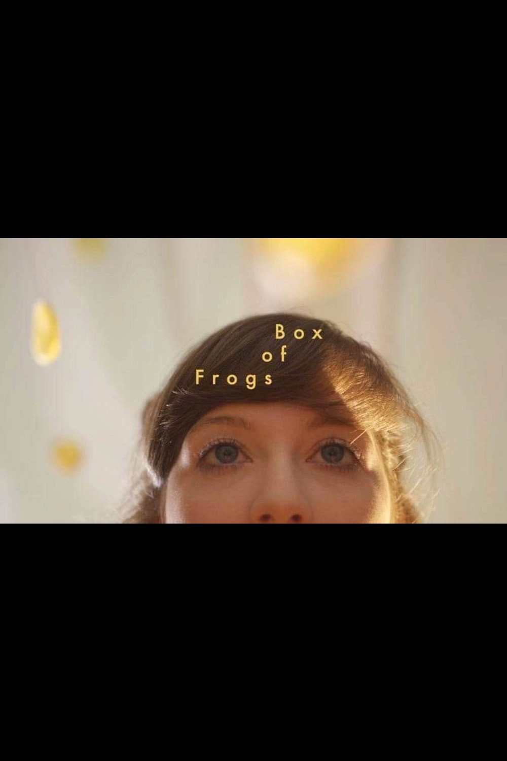 Box of Frogs