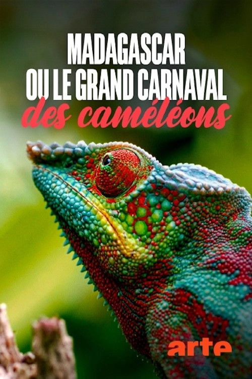 Madagascar or the Great Carnival of the Chameleons