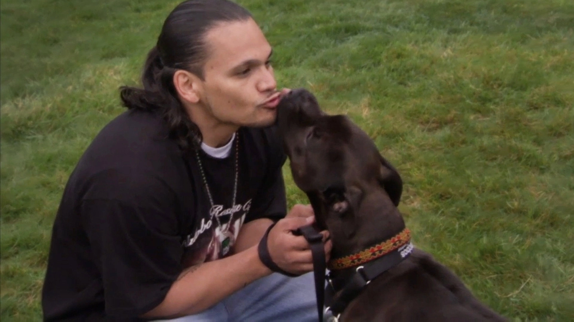 Pit Bulls and Parolees