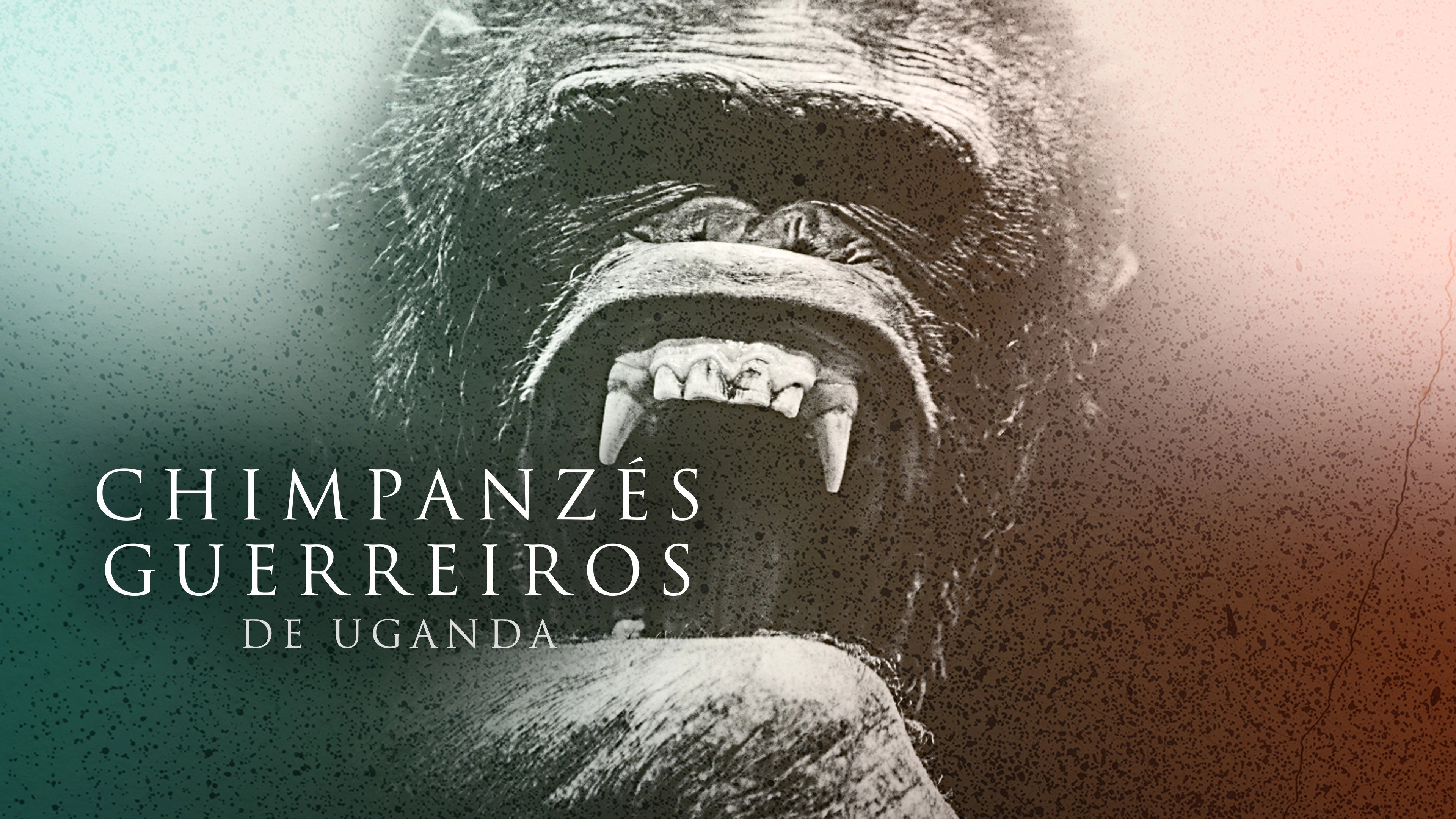 Rise of the Warrior Apes