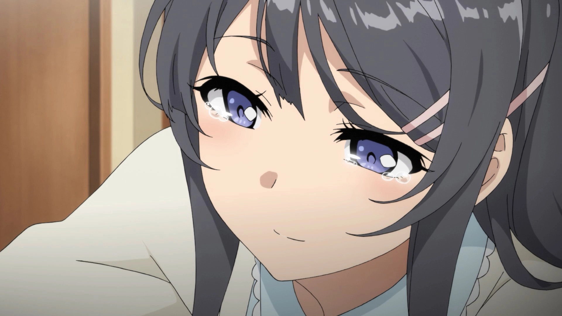 Rascal Does Not Dream of Bunny Girl Senpai