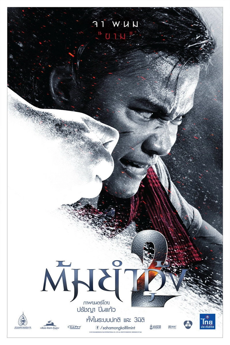 The Protector 2