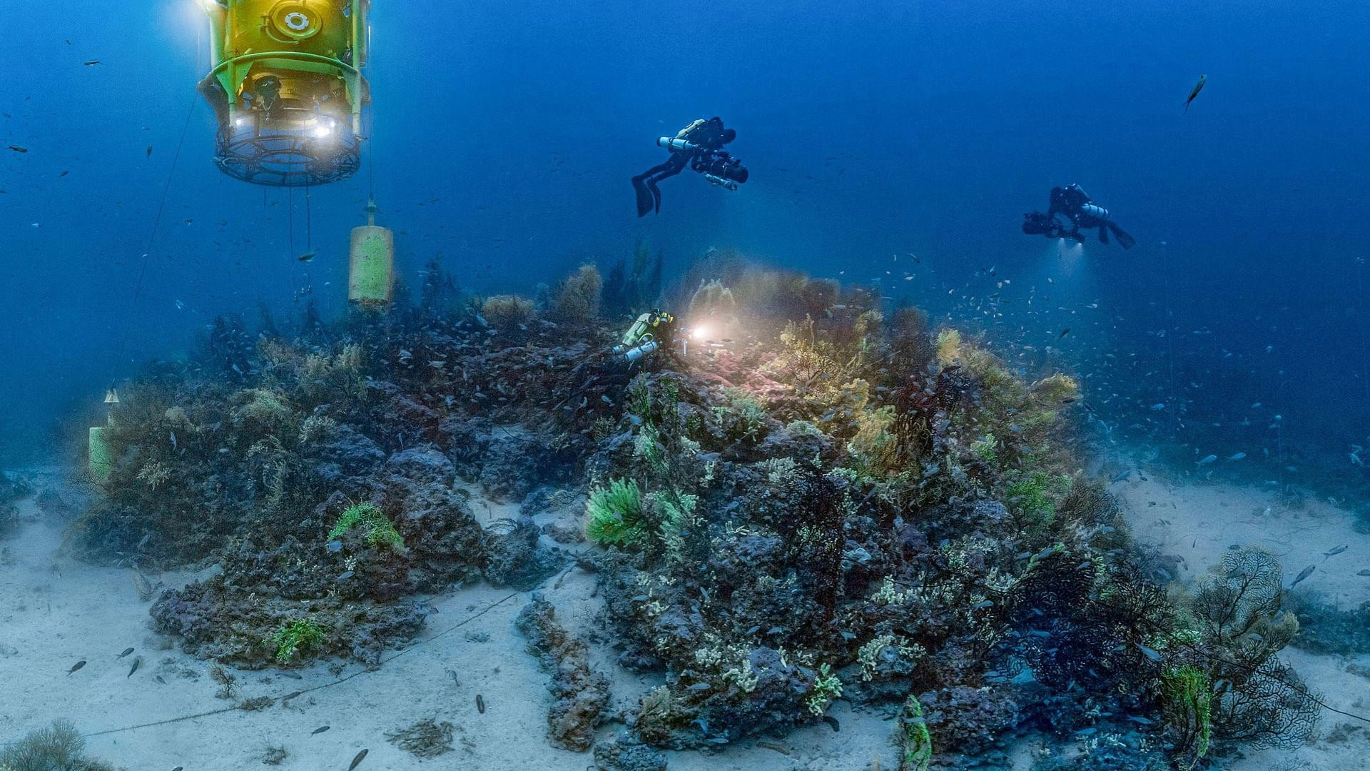 The Deep Med