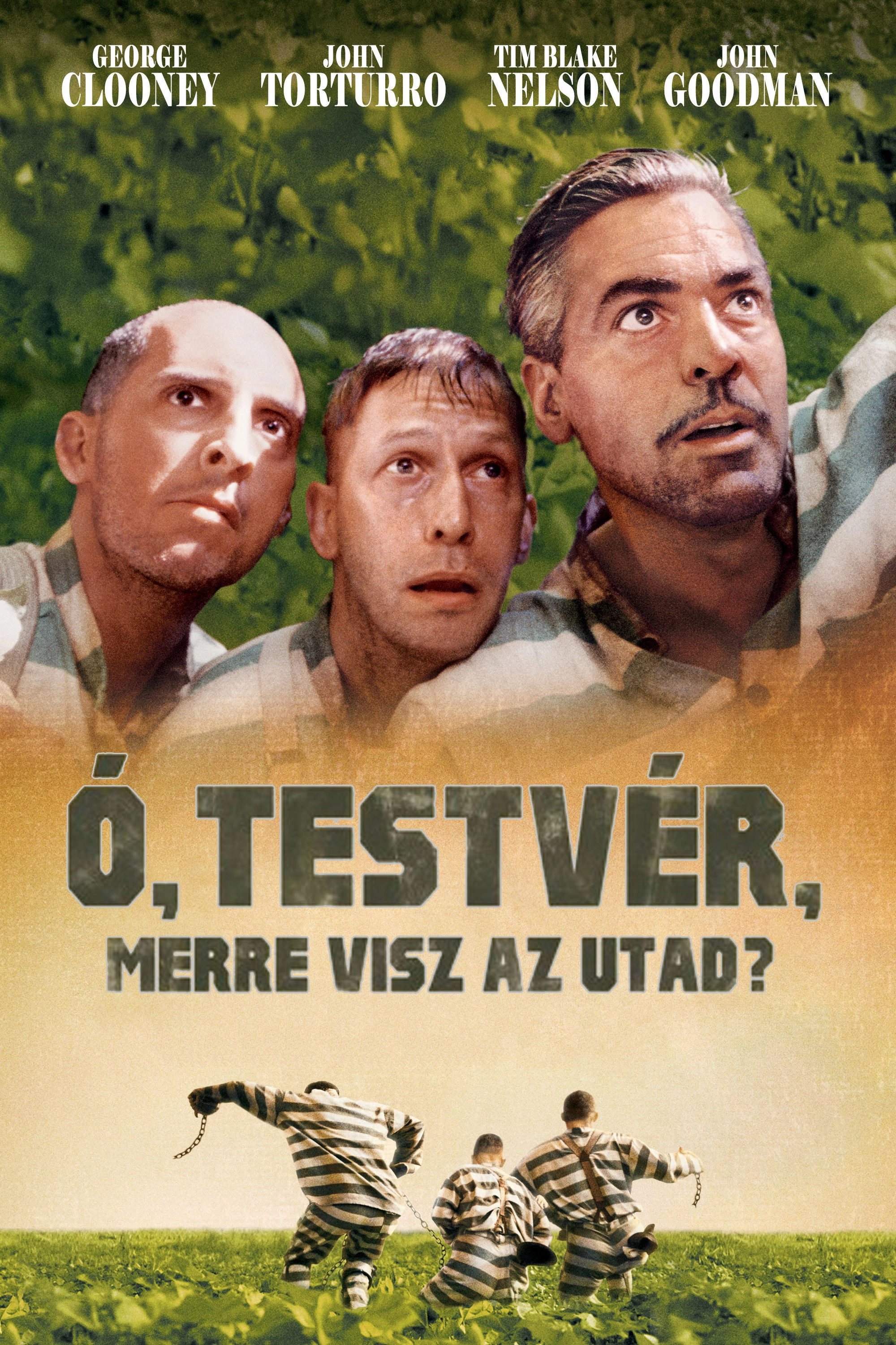 Lolz-ita