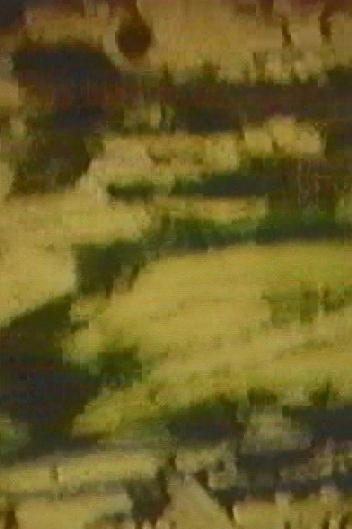 The Circle 2