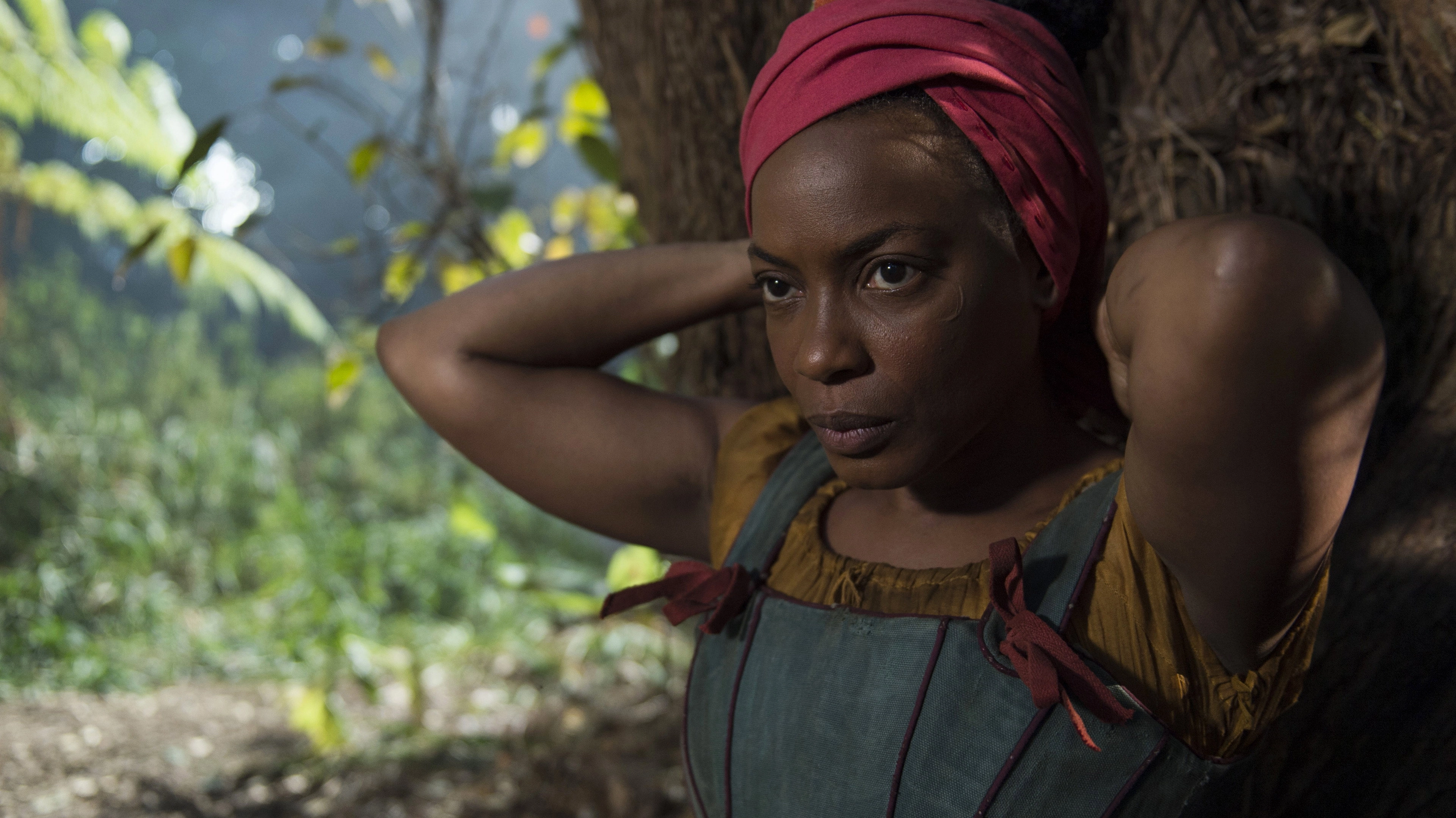 The Book of Negroes