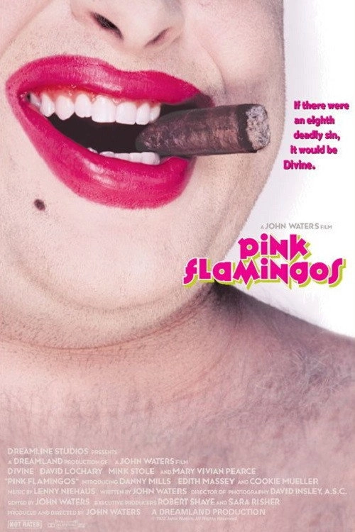 Pink Flamingos