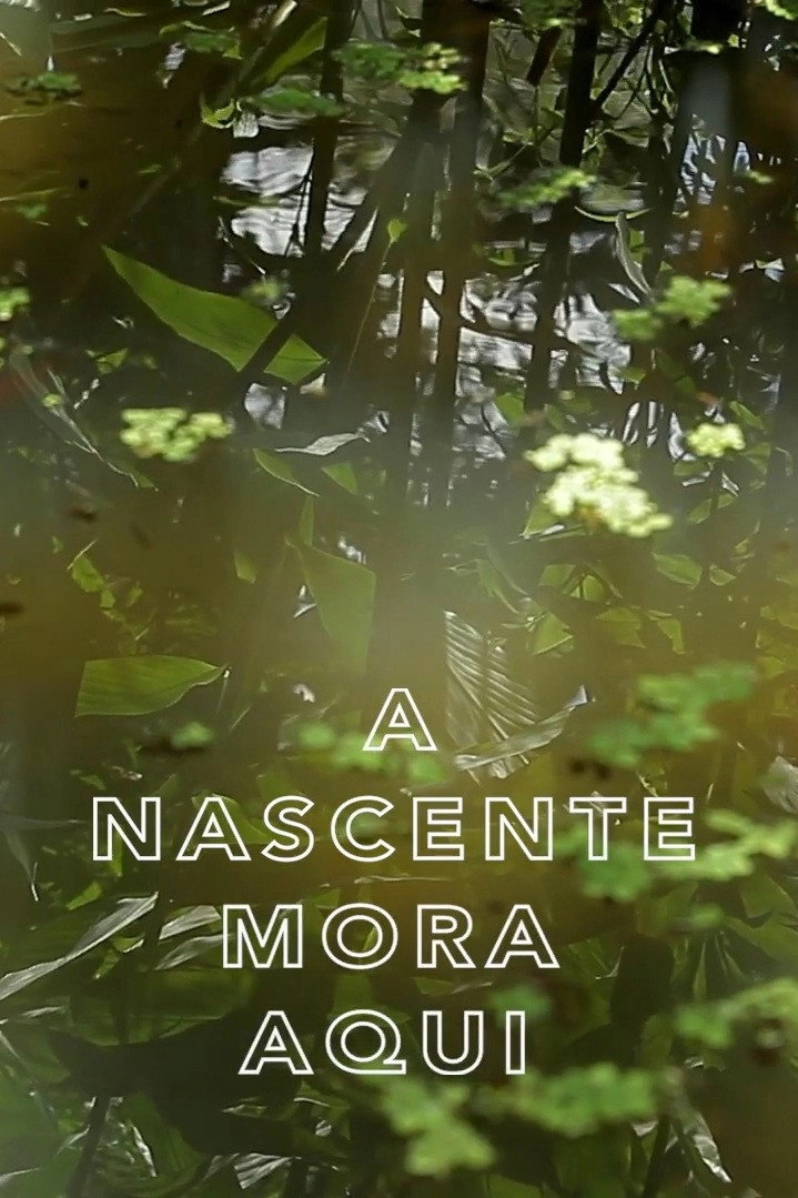 A Nascente Mora Aqui