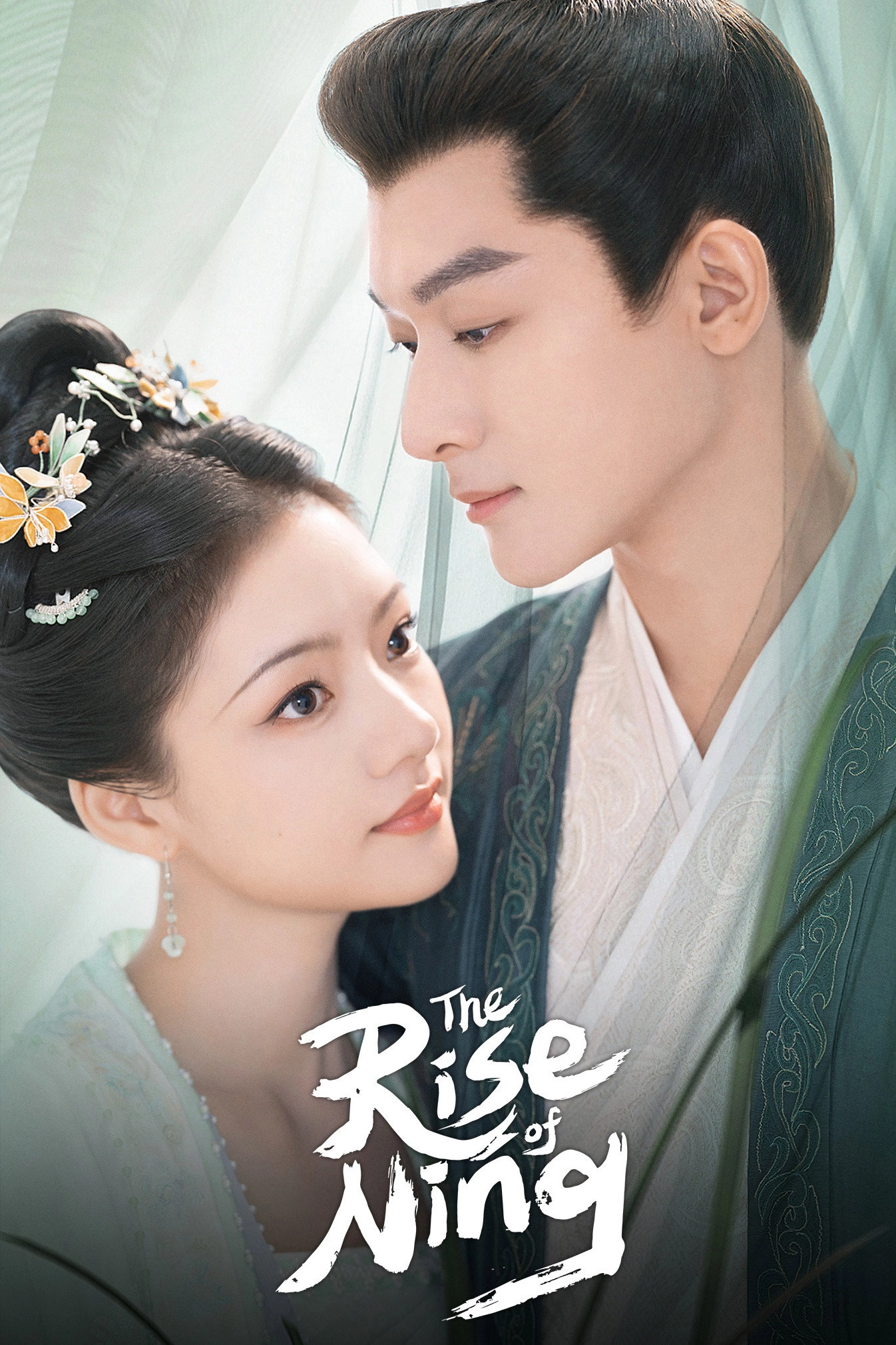 The Rise of Ning