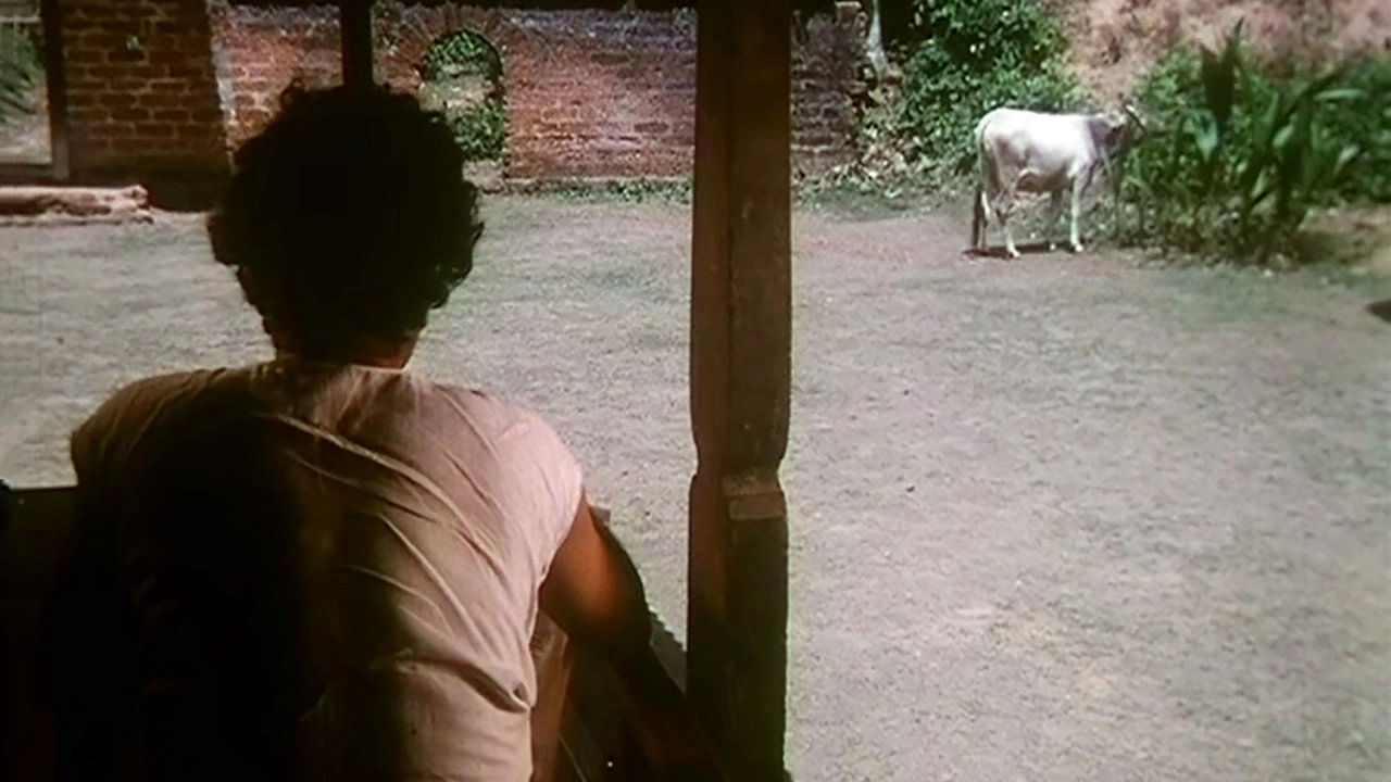 Elippathayam