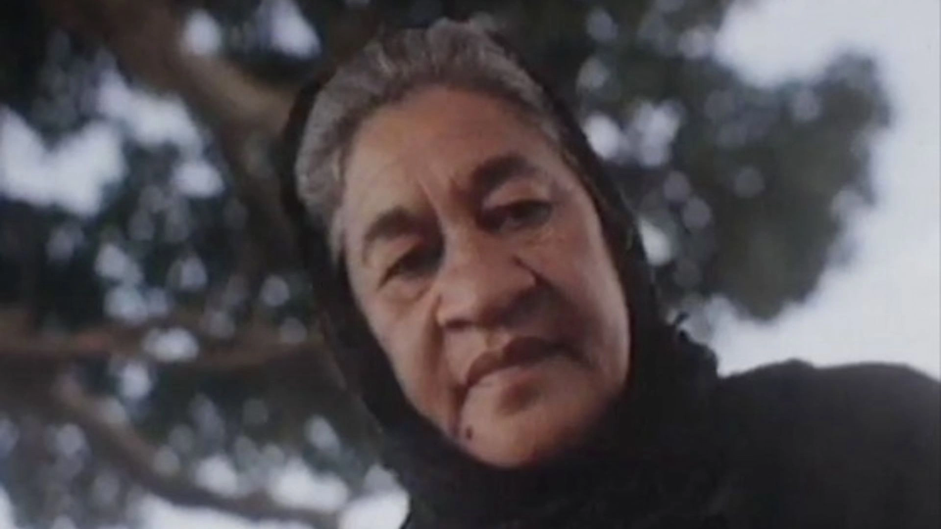 Mauri