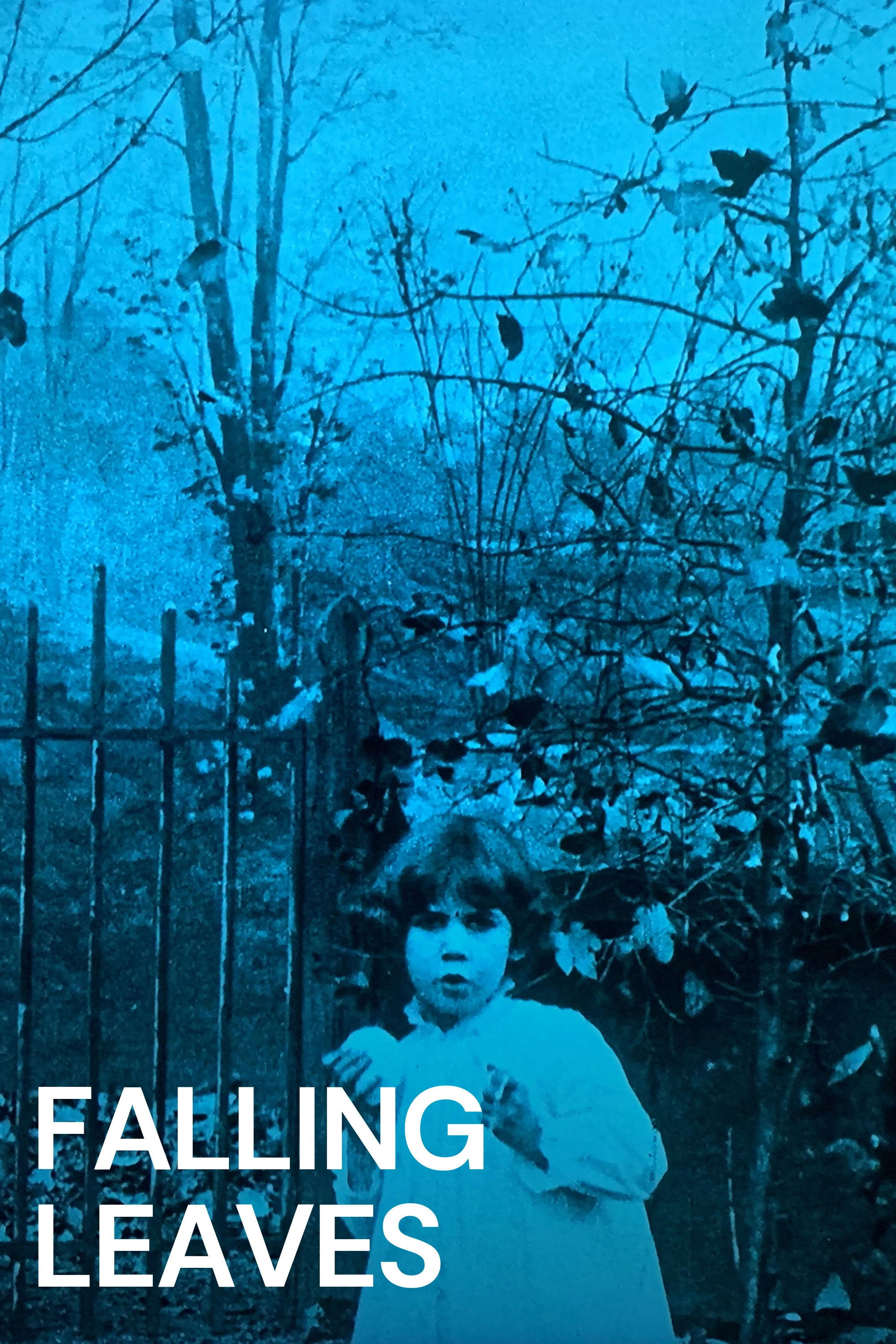 Falling Leaves