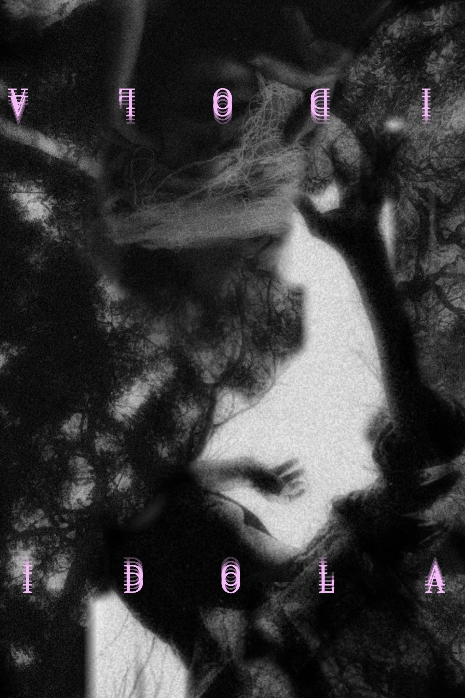 IDOLA