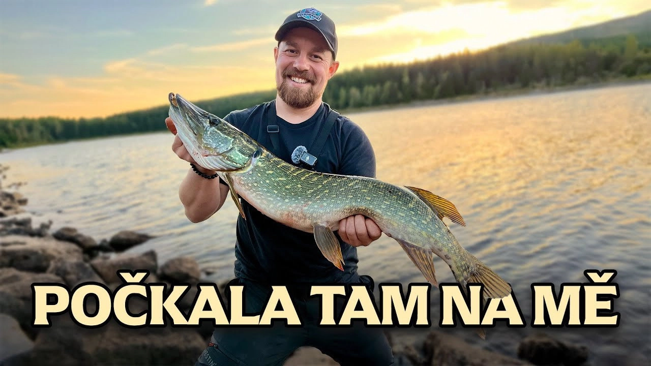 Rybománie