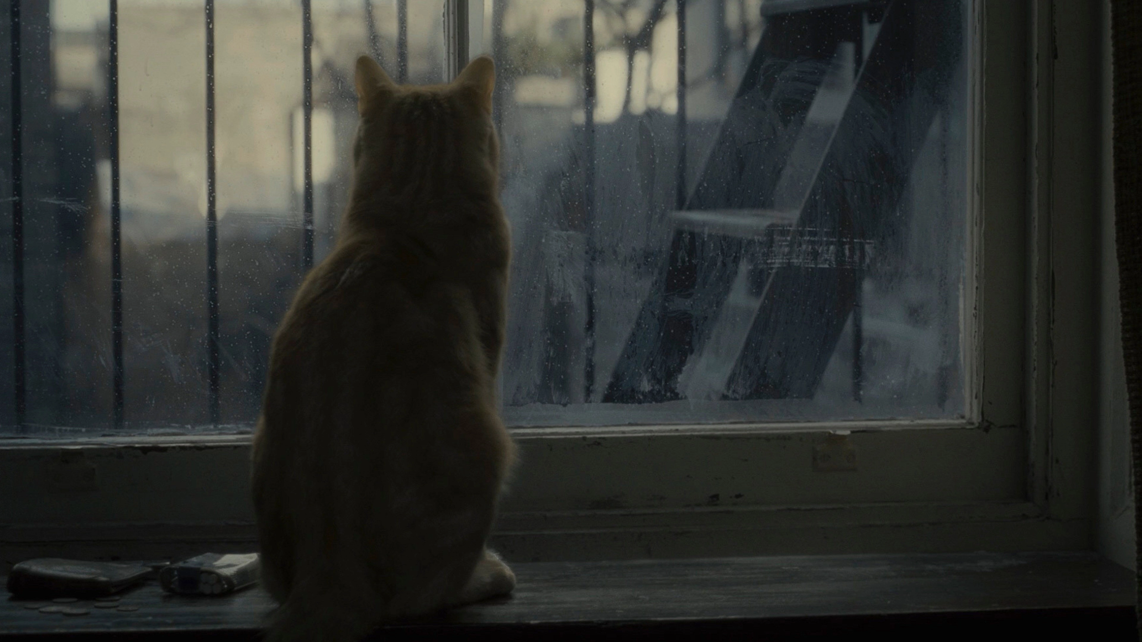 Inside Llewyn Davis