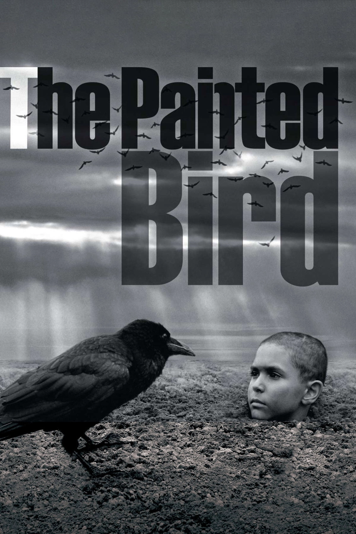 The Painted Bird