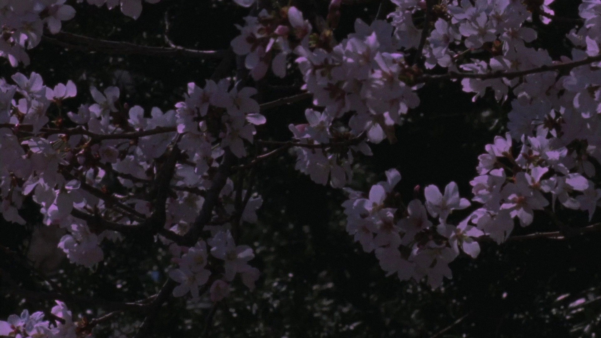 Spring Songs