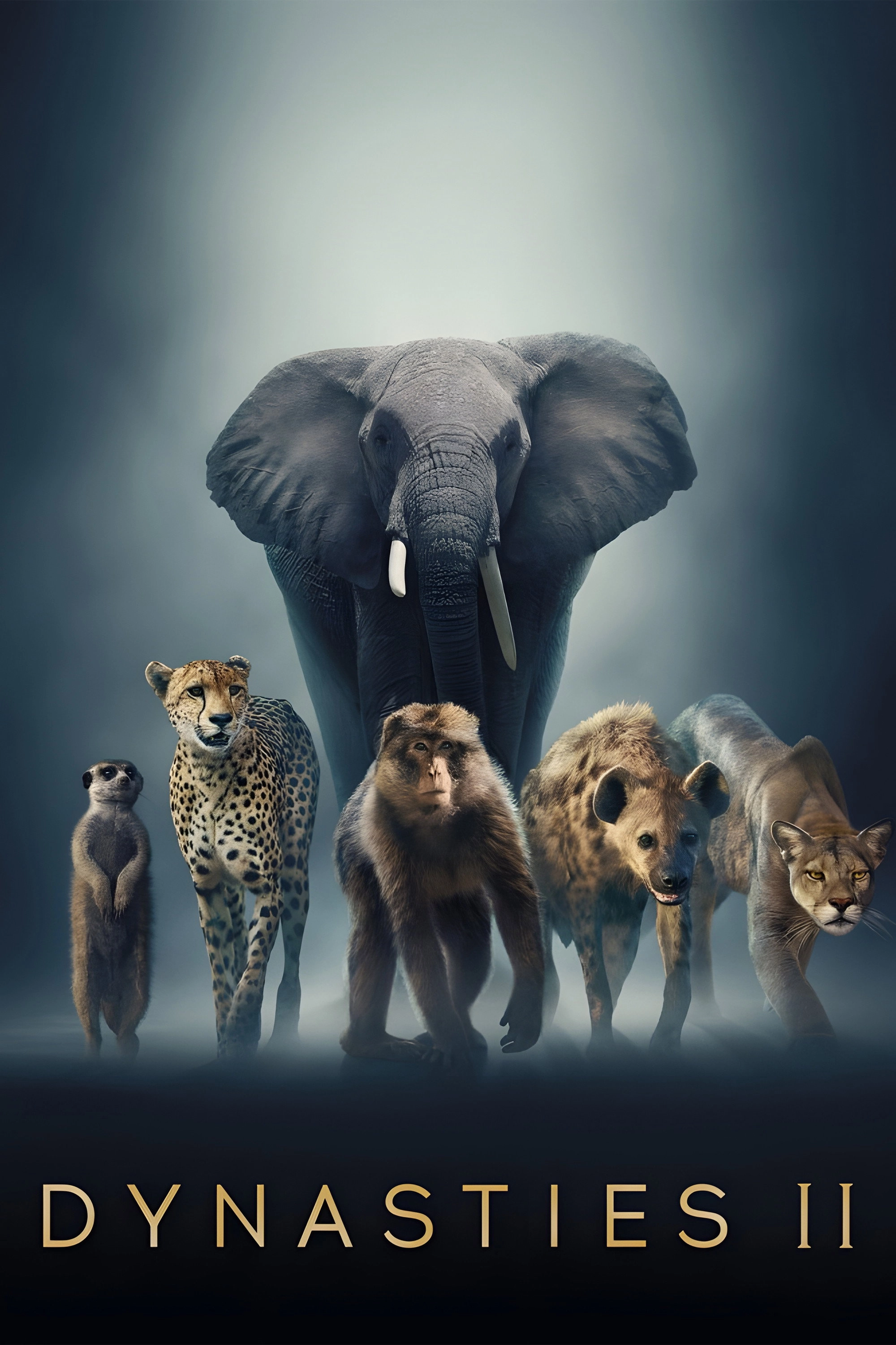 Dynasties