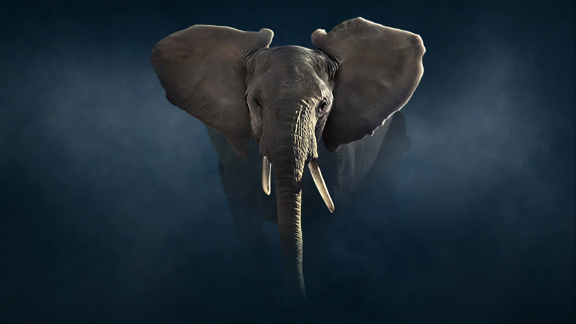 Dynasties