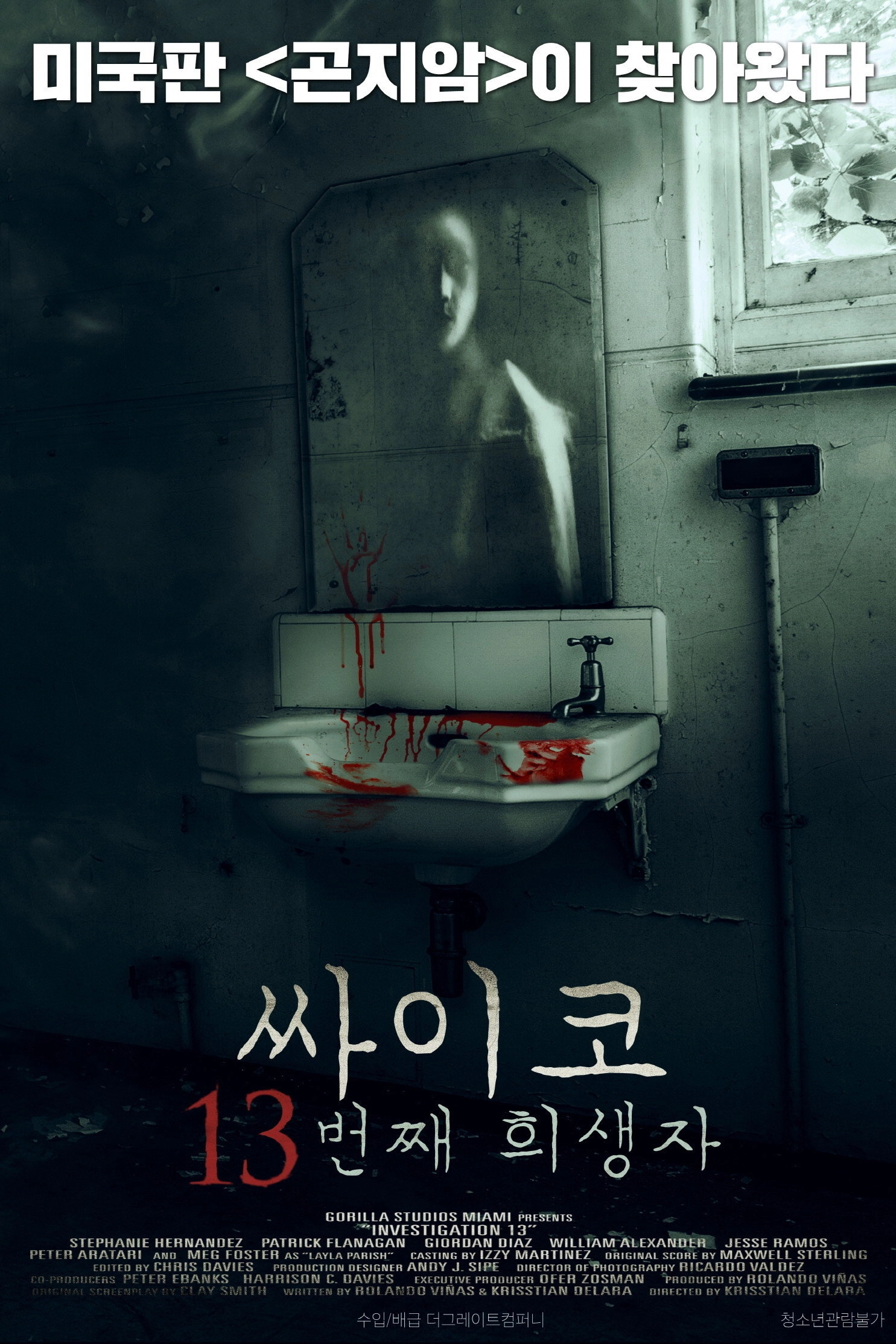 Investigation 13