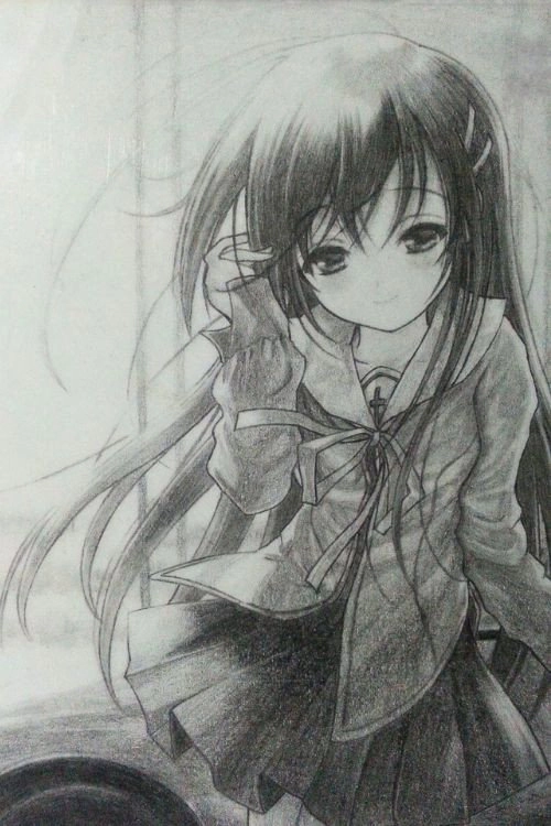 Narcissu