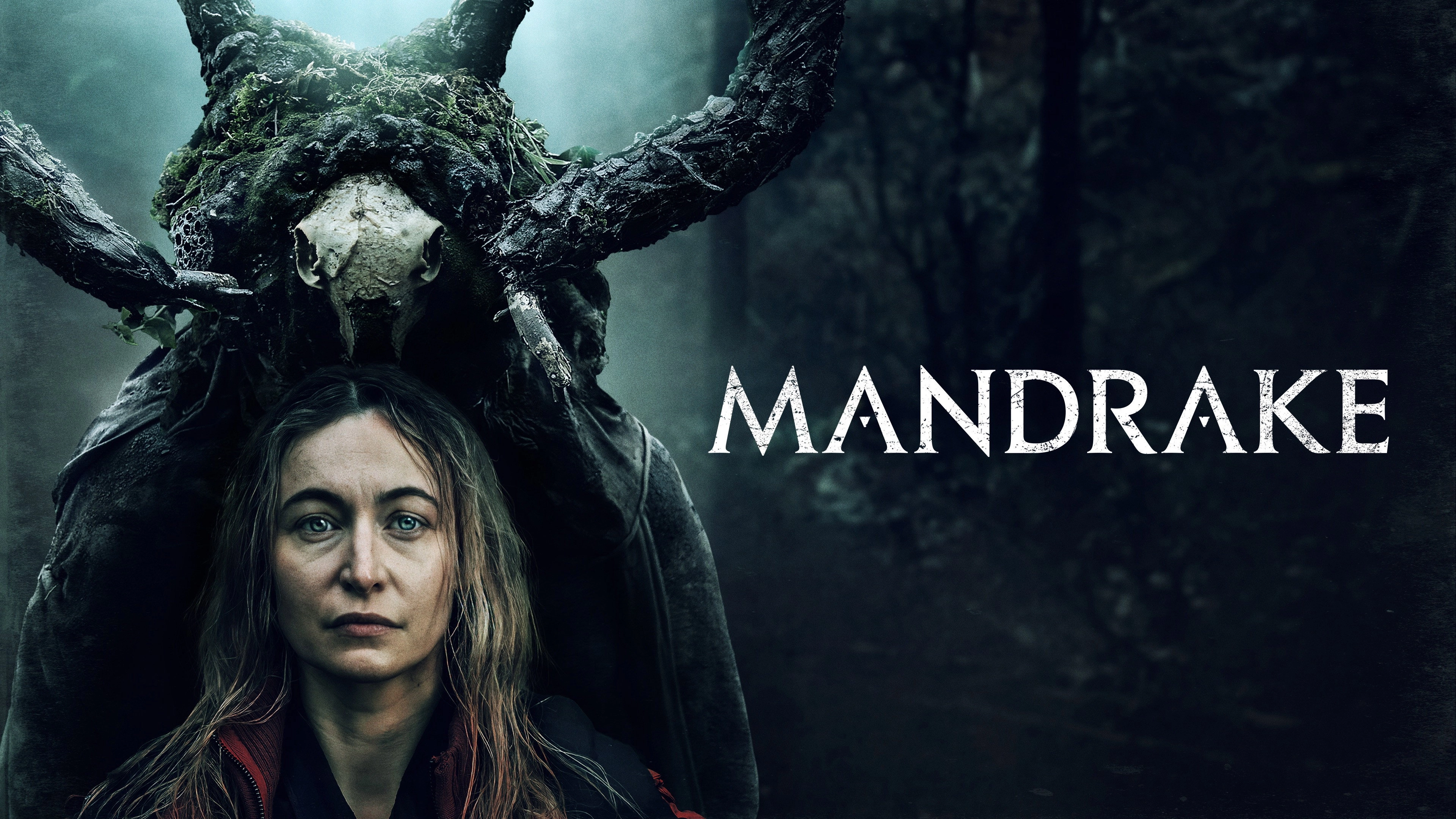Mandrake