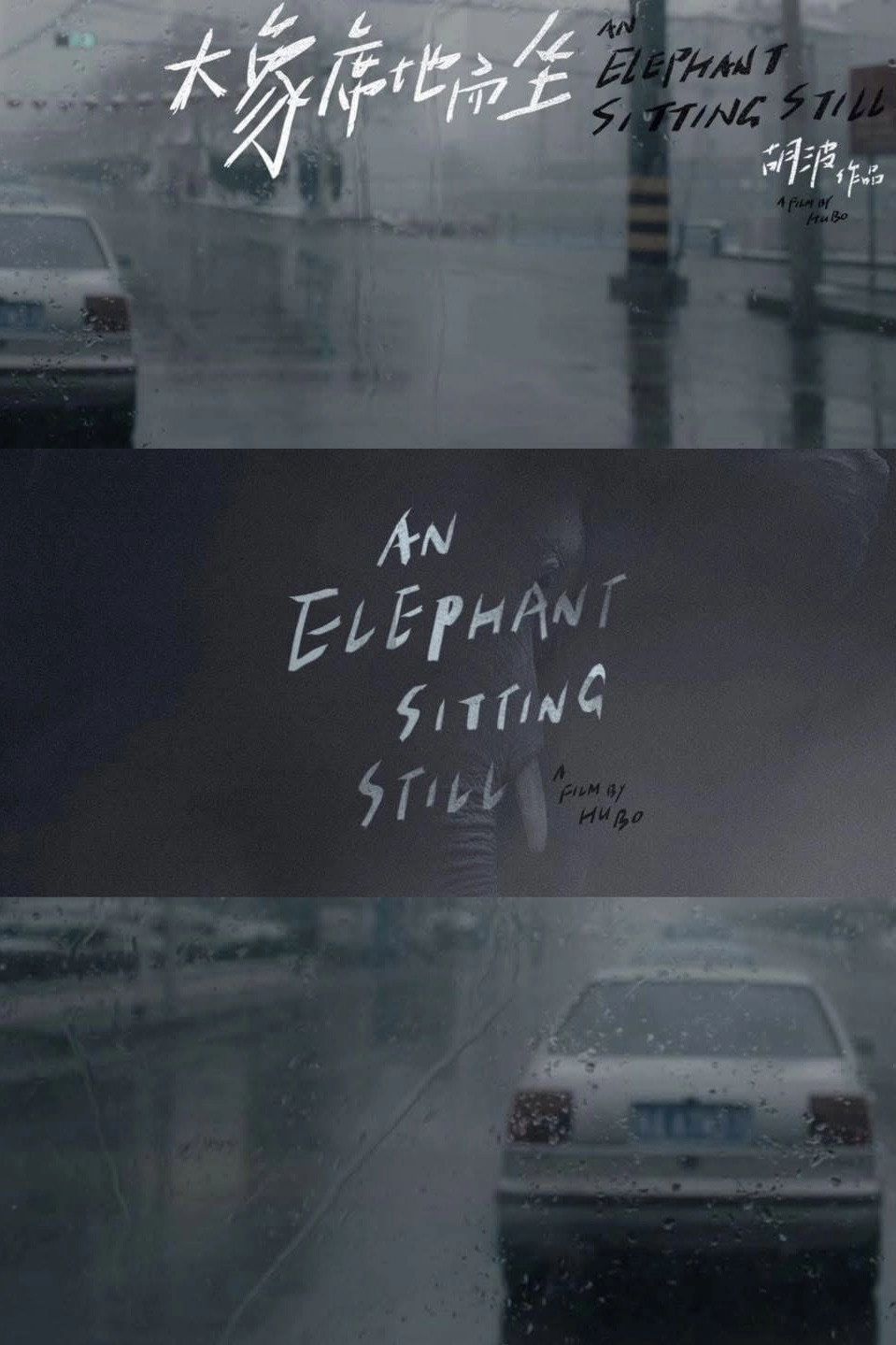 An Elephant Sitting Still