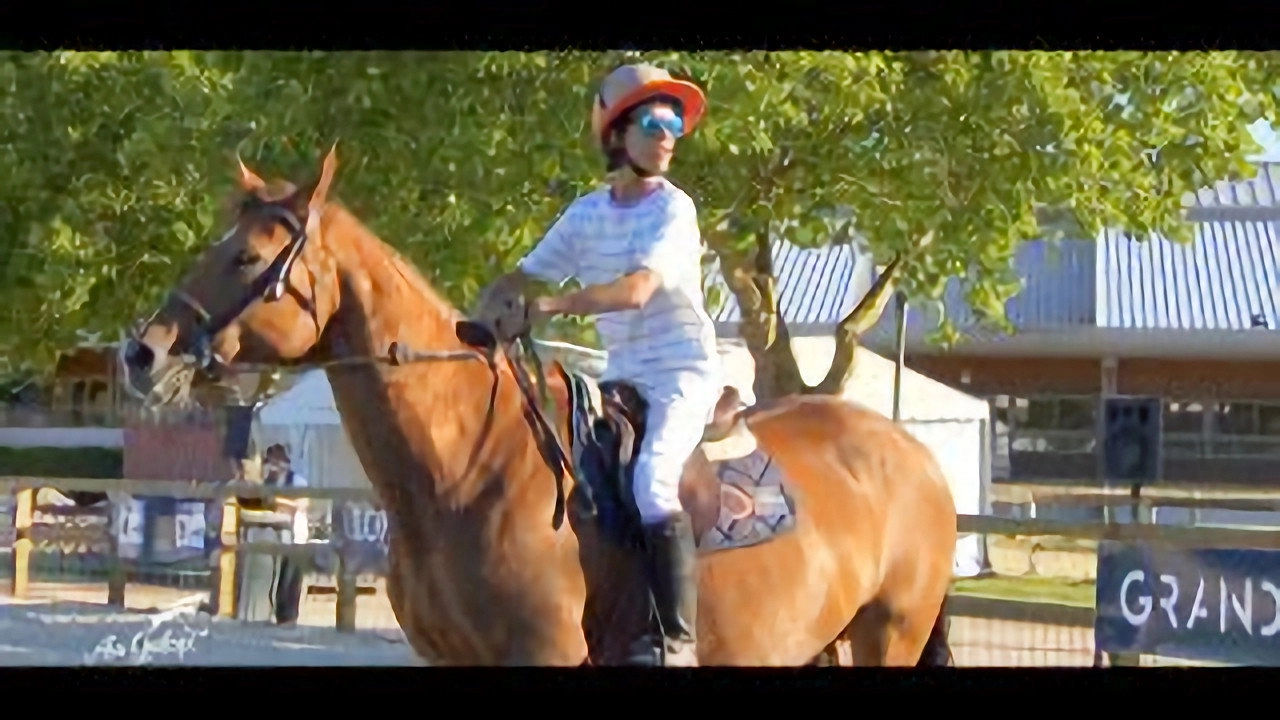 Au galop ! une saison à cheval
