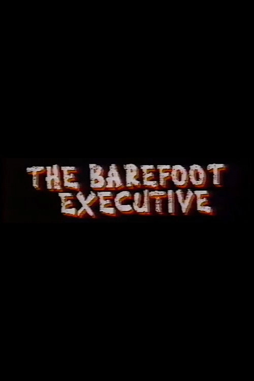 The Barefoot Executive