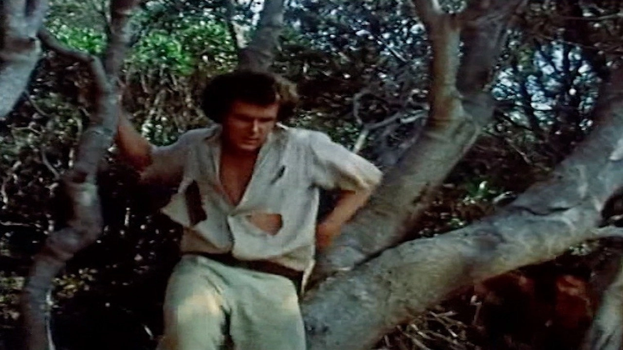 The Castaways
